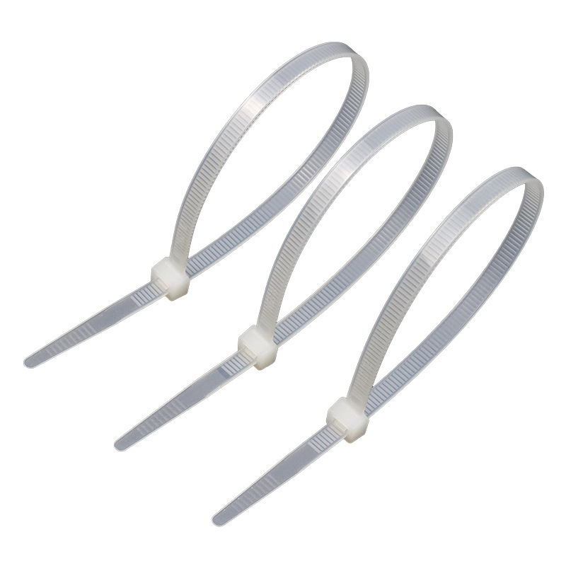 100 self-locking nylon cable ties nylon cable ties cross-border neutral cable ties wholesale