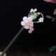Hairpin 6530