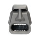 Gargoyles Lie Detector
