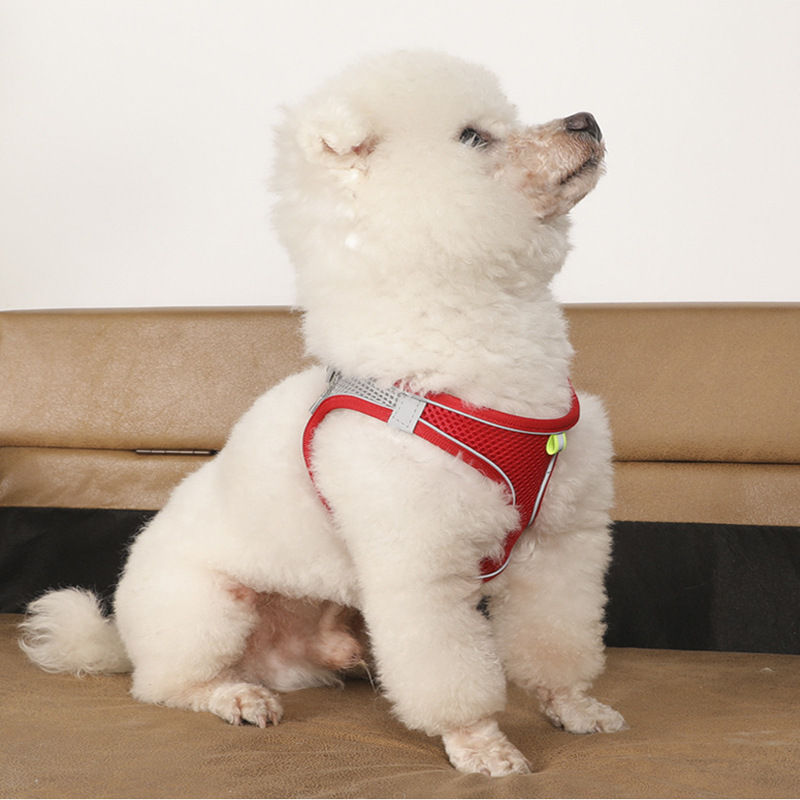 Pet traction rope chest strap dog reflective breathable chest back pet traction rope cat chest back dog chain supplies wholesale