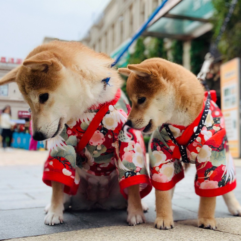 和風ペット服猫犬コーギーテディ柴犬小さいサイズ秋/冬かわいい梅の花のデザイン|undefined