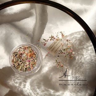 Japanese ins New Mixed Color Lace Flower Dried Flower Oil Painting Wind Mixed Small Dried Flower Floral Baffle Nail Art diy Decoration