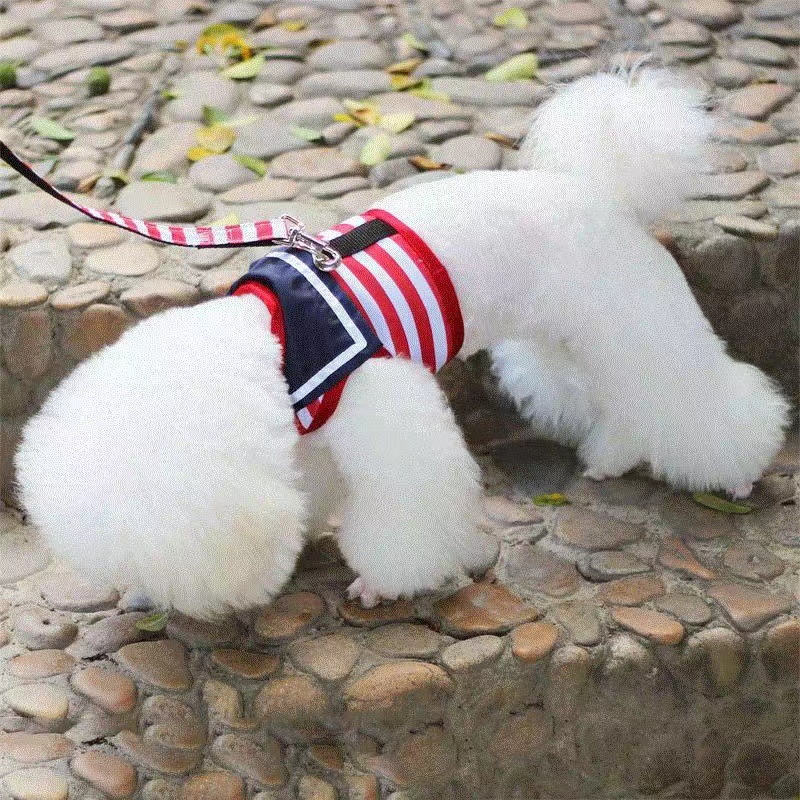 Pet dog leash chest strap Teddy VIP Bomei vest dog leash dog chain puppy small dog