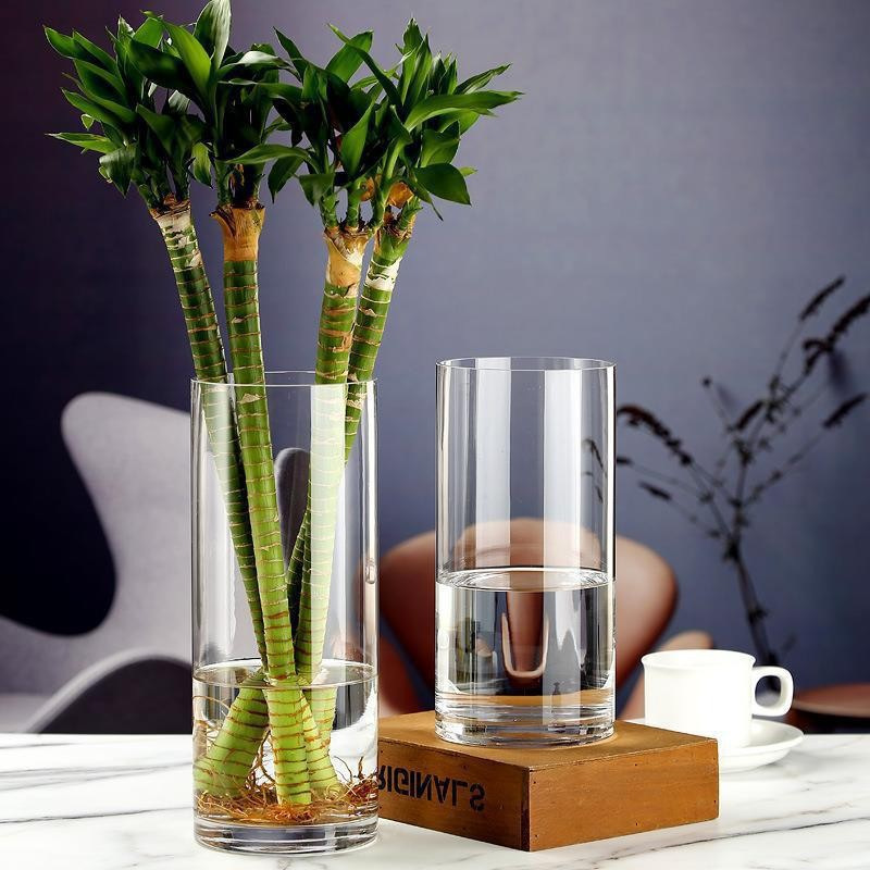 Floor large ins wind transparent straight glass vase wholesale rich bamboo flower hydroponic living room decoration ornaments