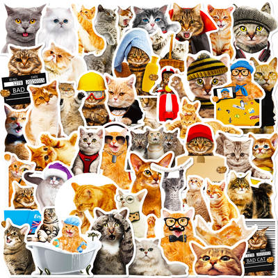 50 realistic cat stickers cross-border fun diy children's stickers focus on small animals cute cat stickers