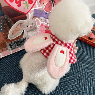 Korean ins New Cute Plaid Rabbit Cloak pet Cat Dog pet Scarf Spice Towel Decorative Foreign Trade