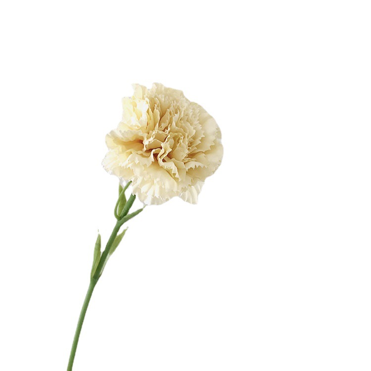 Simulation Short Carnation Teachers' Day Holiday Gift Factory Home Soft Design Photography Props Fake Flowers