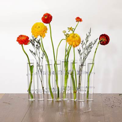 Cross-border ins Test Tube Vase Folding Glass Hydroponic Flower Device Internet Celebrity Transparent Vase Living Room Desktop Decoration Ornaments