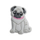 Grey Pug
