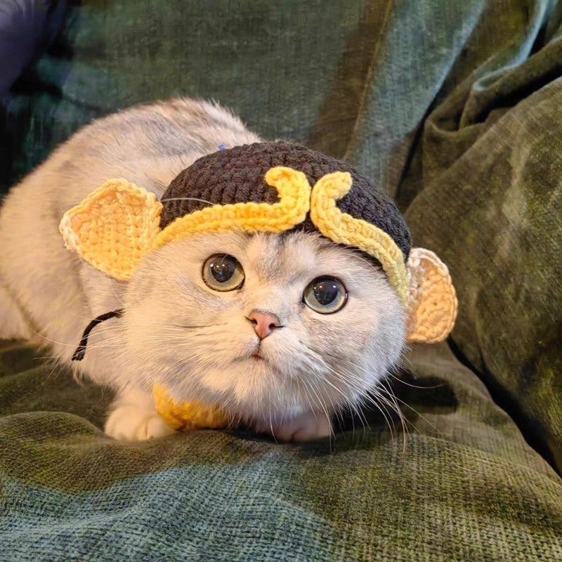 Cat wool knitted hat dog small dog handmade crochet funny cute decorative accessories headdress cross-dressing hat