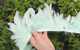 Light blue green