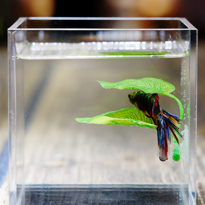 装飾人工水生植物ペット用品水槽造園ベタ葉休憩葉散水水族館の装飾|undefined