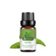 Single: vanilla Vanilla 10ml