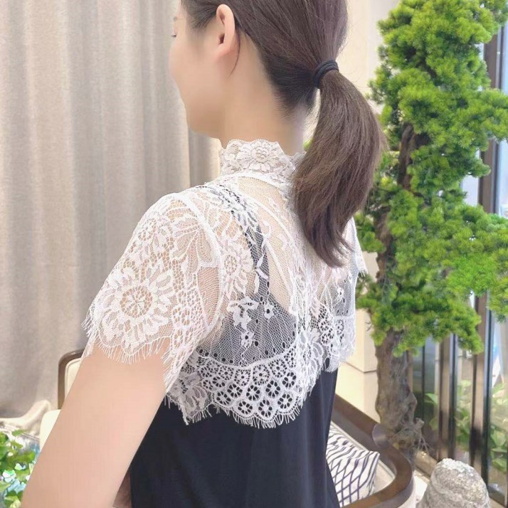Korean Style Lace Fake Collar Women's Lace Base Shirt All-match Decorative Collar High Collar Spring and Autumn New Spring and Autumn Fake Clothes
