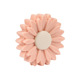Peach Daisy