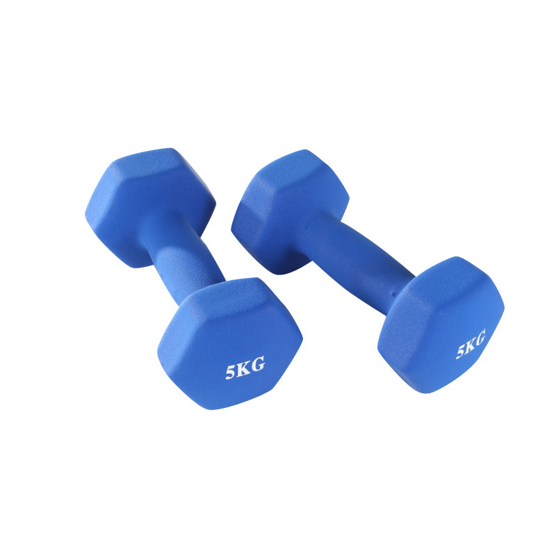 Dumbbell ladies dip hex small dumbbell cast iron KG plastic dumbbell children's dumbbell fitness equipment wholesale