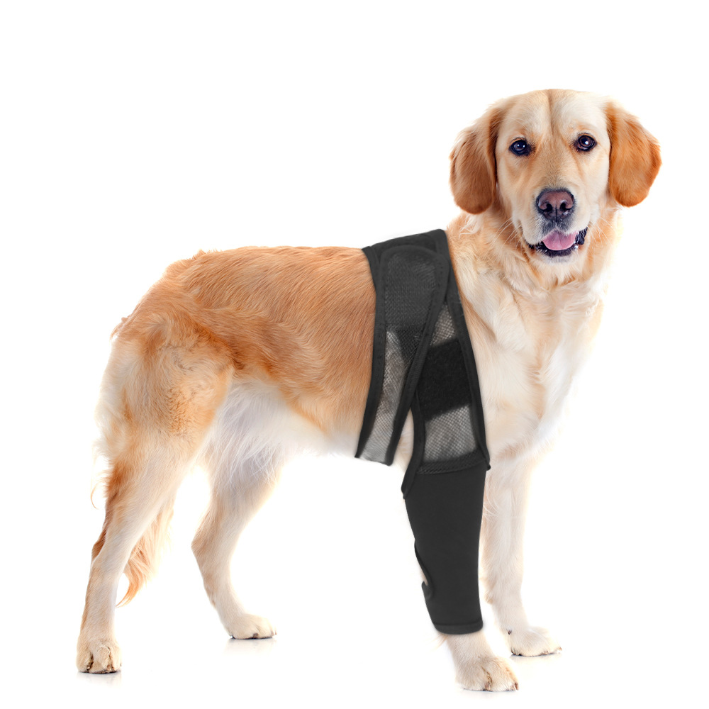 Dog thigh protector joint knee protector leg protector weakness injury protection postoperative rehabilitation bracket fixed leg strap
