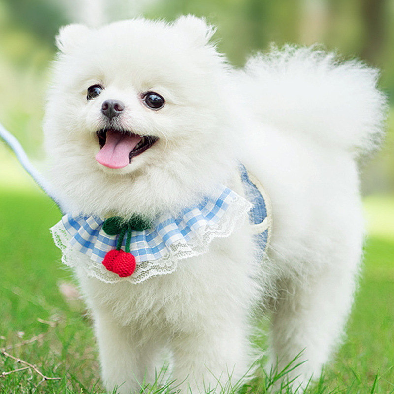 Pet Traction Rope Anti-break Vest Dog Chest Strap Medium and Small Dog Cat Traction Rope Chest Strap Wholesale