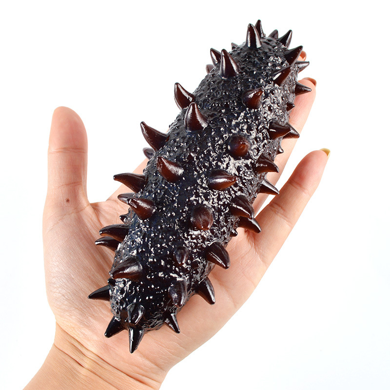 Large simulation of Liao Cucumber and Sea Cucumber Physical Model Seafood Market Food Play Food Food Food Shooting Props Ornaments