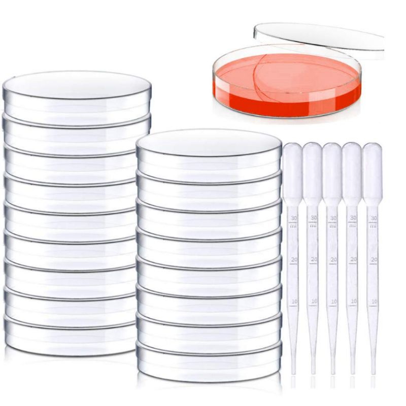 Cross-border Disposable Plastic Petri Dish Cell Petri Dish 35mm 60mm 70mm 90mm Plastic Dropper