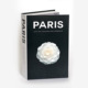 Storage in Paris