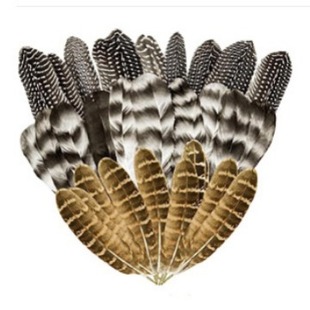 Factory direct pearl nest feather reed flower nest feather mother mountain chicken tail natural feather suit Amazon