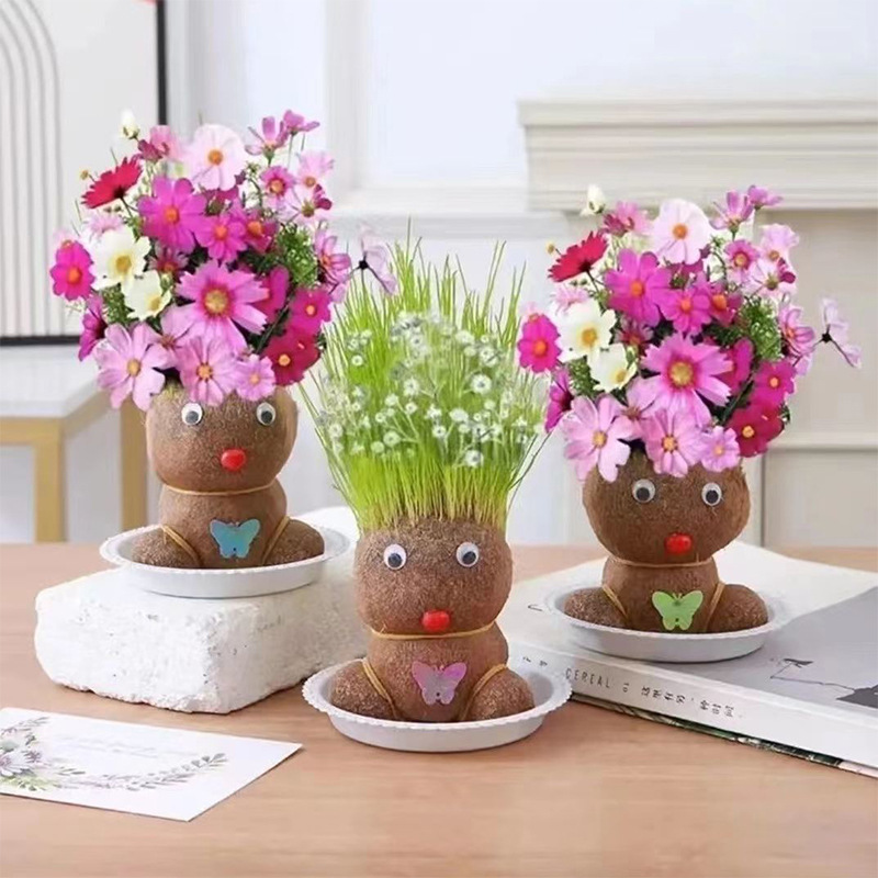 Head long grass doll grass head flowering children planting small pot planting grass green plant observation plant growth kindergarten