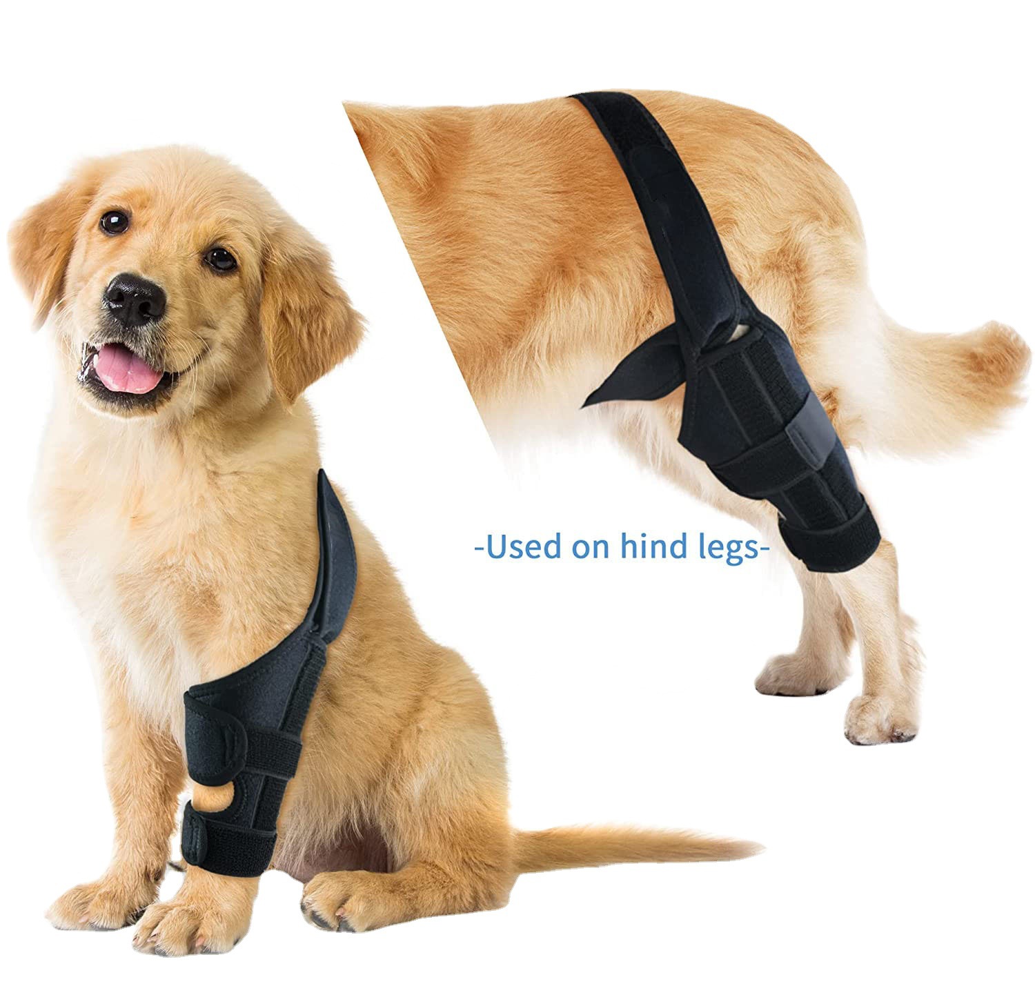 Pet protective gear dog hind leg injury auxiliary belt dog knee pad rehabilitation belt leg joint injury postoperative leg guard