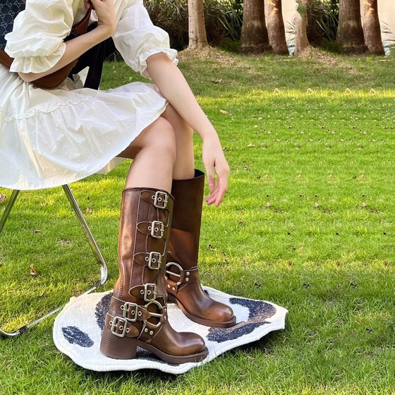 Internet Celebrity High Knights Boots Women's ins Trendy 2023 New European Station Fashion Thick Bottom Thick Heel but Knee Long Boots