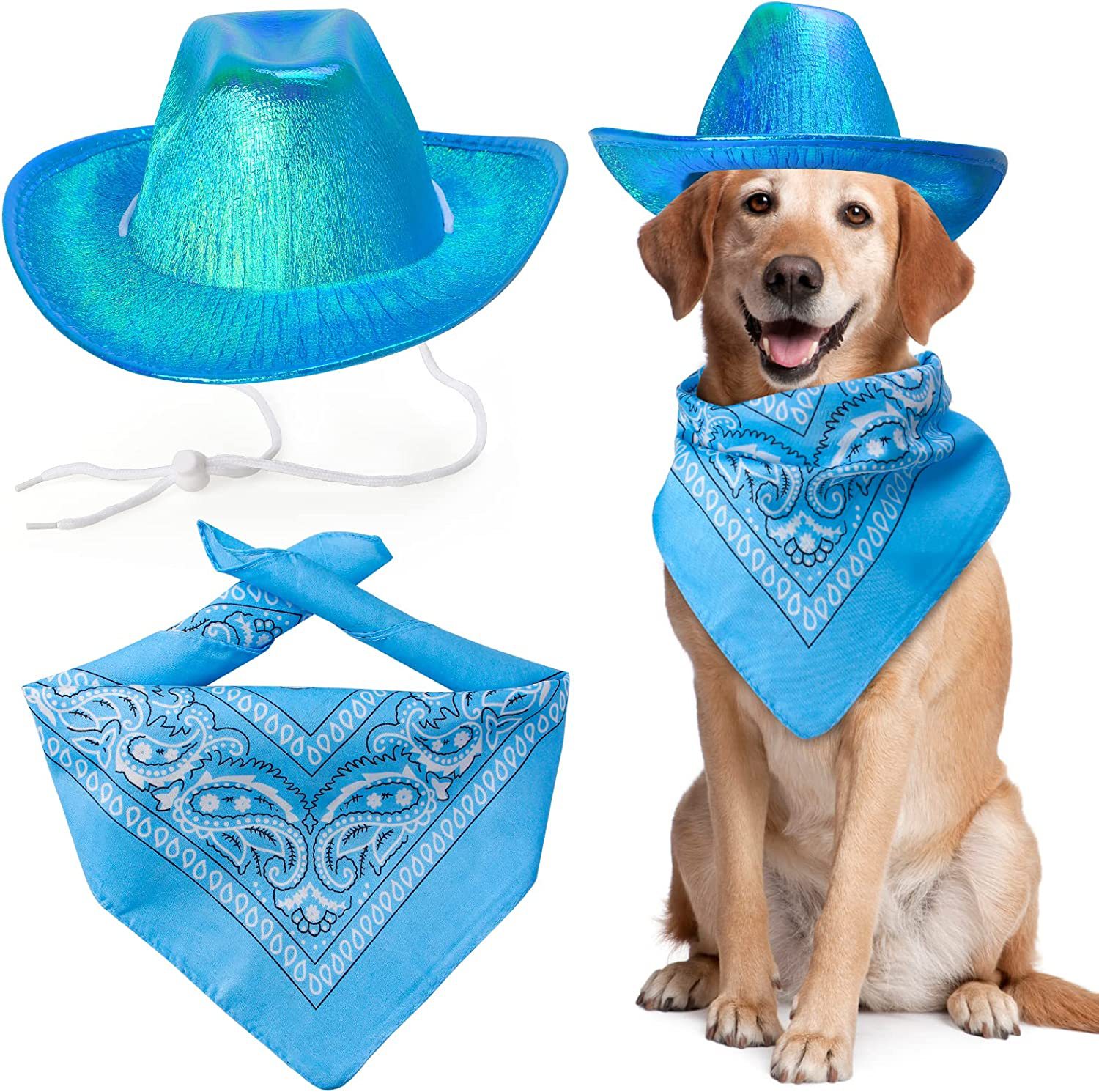 Pet Neon Shiny Space Cowboy Hat Clothing Suit Dog Cat Fantasy Cowboy Hat Western Cowboy Accessories