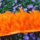 15 Orange