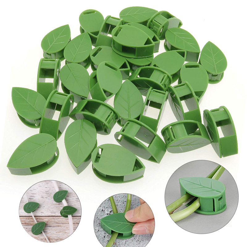 Cross-border Green Rose Climbing Clip Plant Fixer Plant Growth Climbing Climbing Wall Self-adhesive Clip Line Storage Device