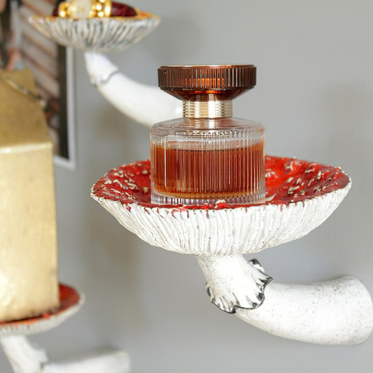 新品Mushroom Hanging Shelf创意家居收纳蘑菇墙壁挂架树脂工艺品