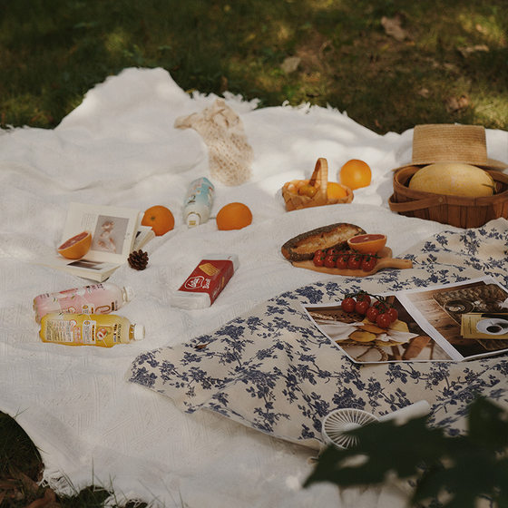 Picnic mat outdoor camping French white picnic cloth props Internet celebrity supplies full set tablecloth moisture-proof beach mat