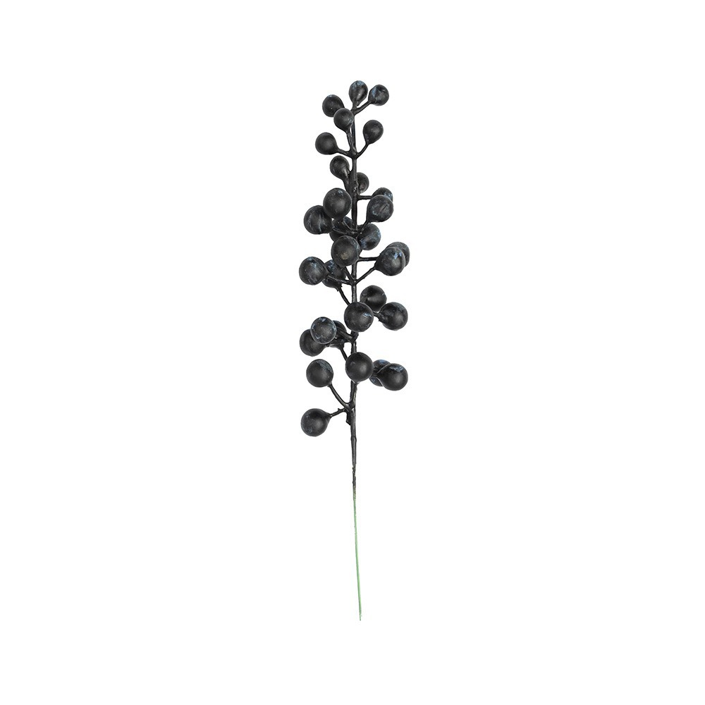 Puxinuo Fish Shukang Fish Kangbao Household Ornamental Fish Medicinal Disinfection Water Purification Tablet Methylene Blue Fish Tank Sterilization