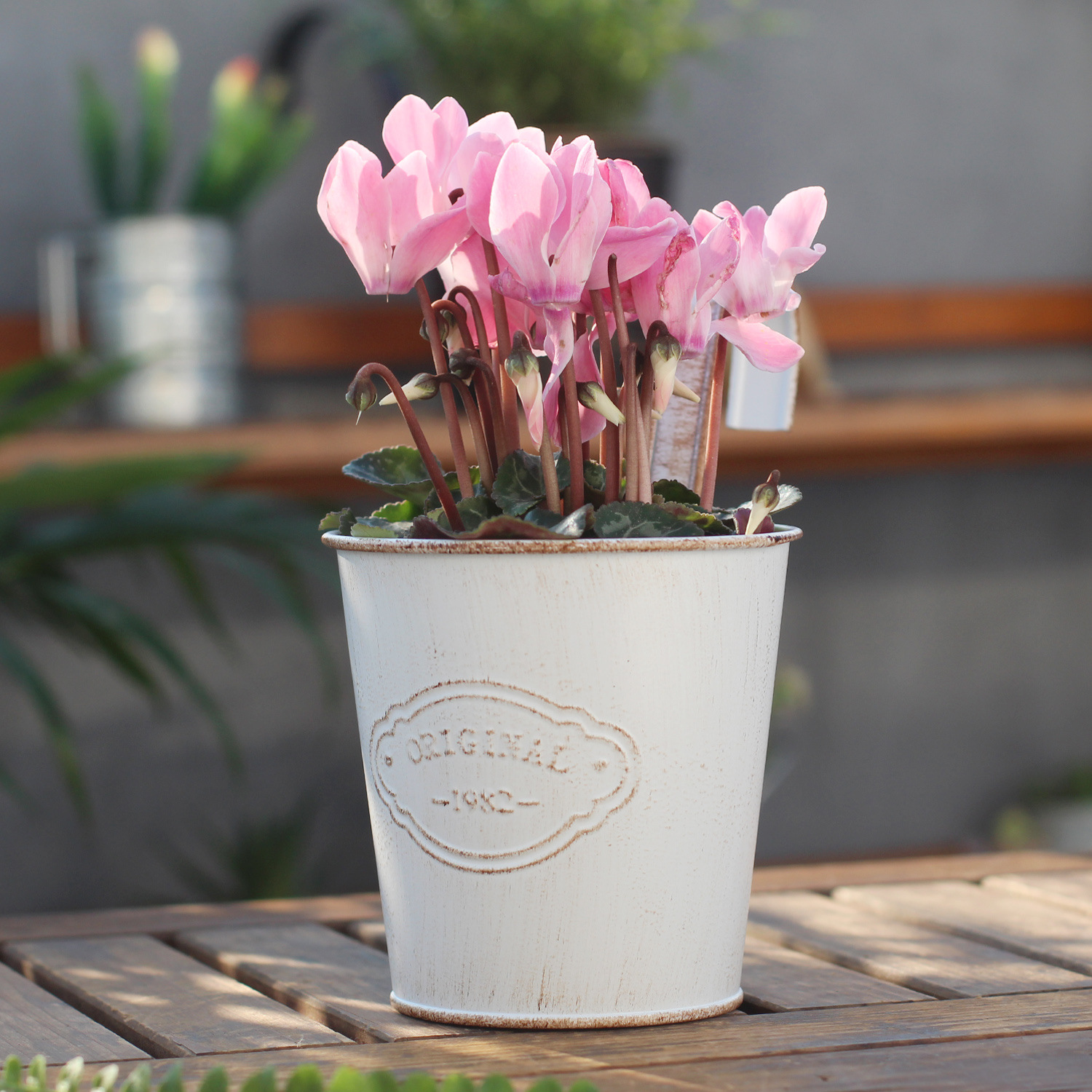 Cross-border manufacturers foreign trade do old white letter bucket small hook flowerpot hook bucket retro galvanized iron bucket