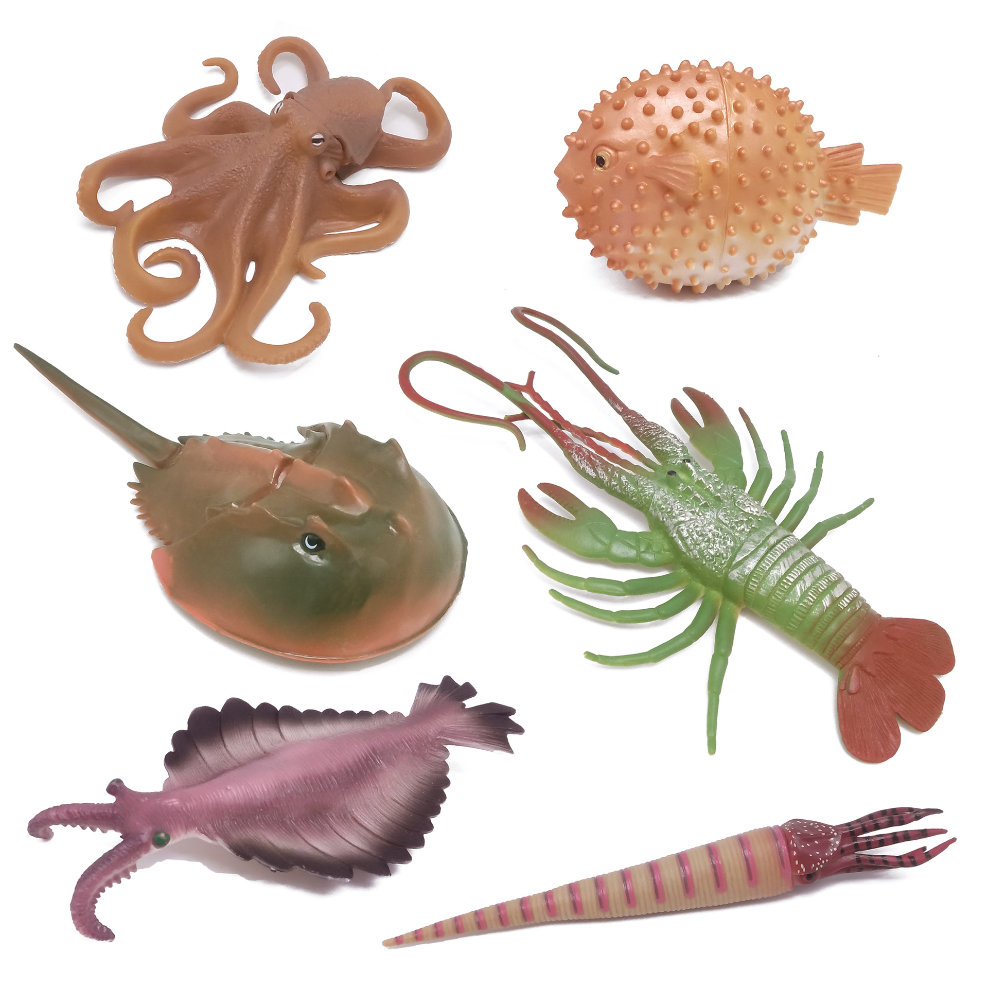 Ancient biological simulation marine animal model children's toy Chinese horseshoe crab lobster right-angle stone model cross-border