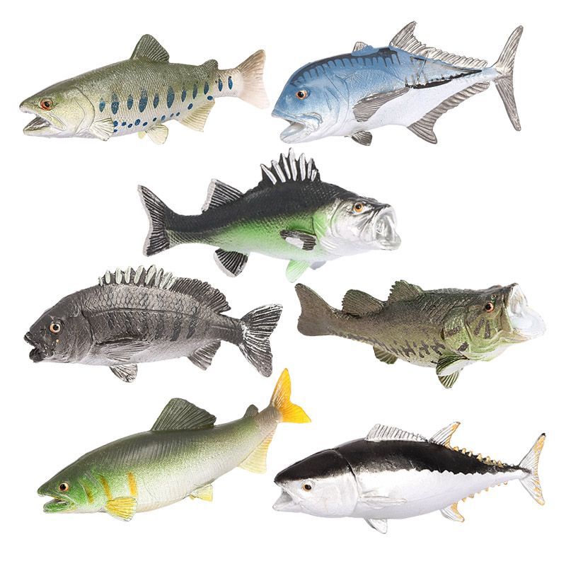 Simulation marine animal model fish salmon real bream perch salmon children's cognitive toy ornaments