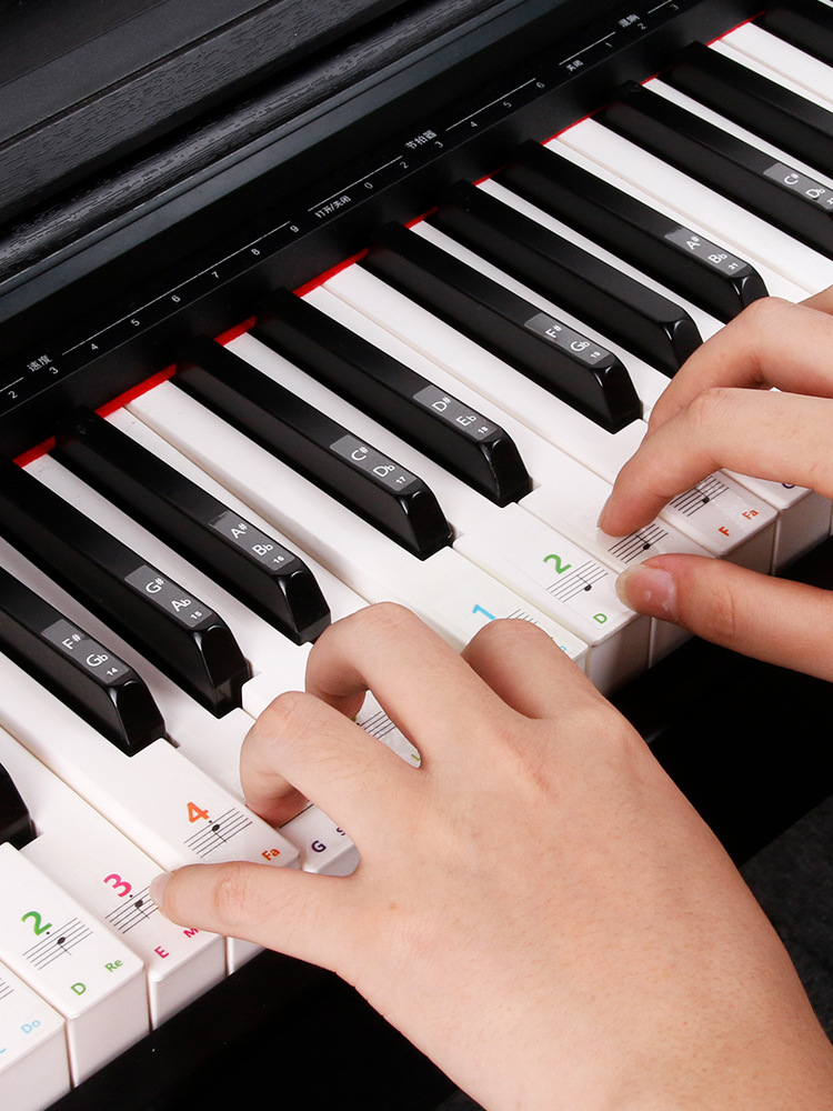Nano piano keyboard sticker 88/61/54 key children's adult electronic organ universal glue-free staff note sticker
