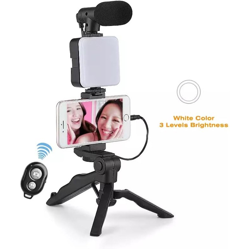 Manufacturer AY49 mobile phone multi-function fill light vlgo cross-border live broadcast beauty fill light with microphone clip in stock