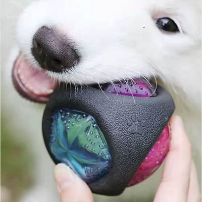 Amazon Explosions Dog Toy Luminous Sound Environmentally Friendly TPR Material Bite Resistant Molar Toy