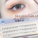 FD01 Segmented Lower Eyelash