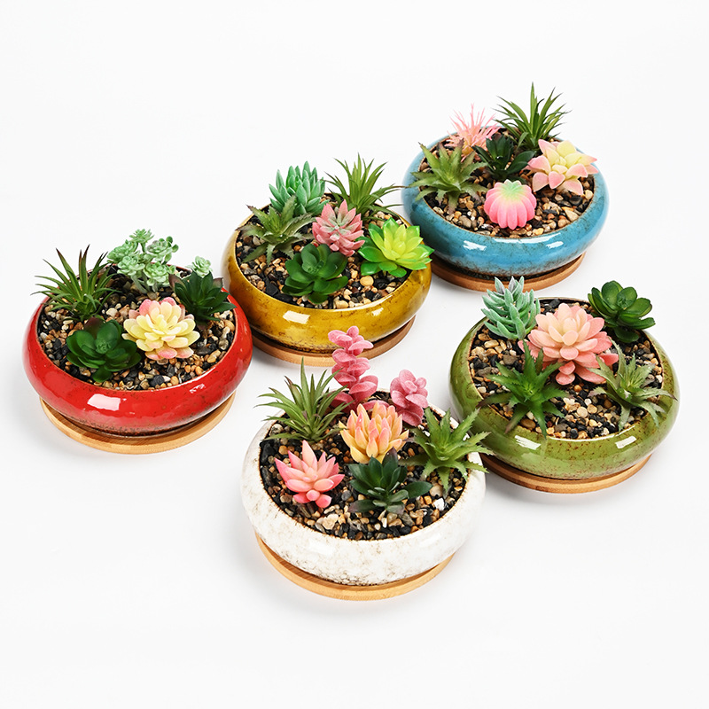 Tazón de dormir creativo loto Lysiana planta hidropónica olla personalidad horno cambio suculento agua de hadas flor plato maceta de cerámica