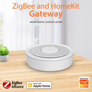 Tuya Apple Homekit and Zigbee Smart Dual-Mode Wired Gateway Home Control System Host