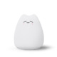 other product image