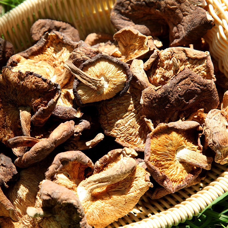 [Jilin Origin] Northeast Changbai Mountain 500 g/piece new wild mushroom dried mushroom dried mushroom wholesale
