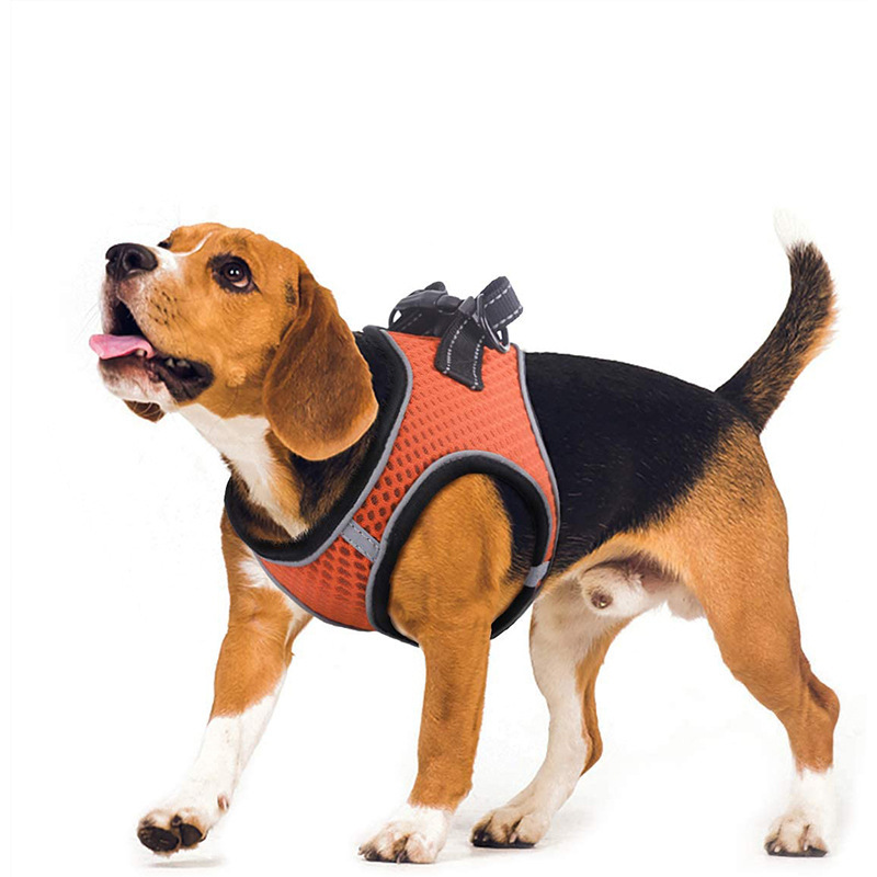 Pet leash anti-break cat vest chest strap breathable cat walking dog walking universal dog chain manufacturers wholesale