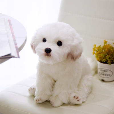 Simulation marzis dog doll cute plush toy white dog decoration soothing doll birthday gift