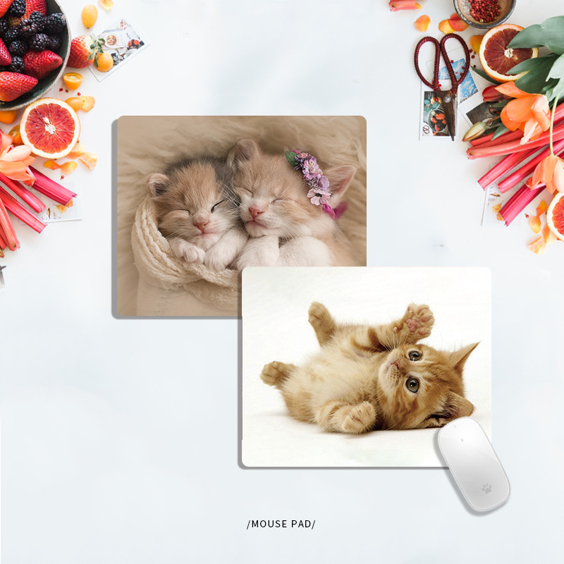 Cartoon cute pet cute kitten mouse pad mousepad small game Office square mouse pad non-slip mat