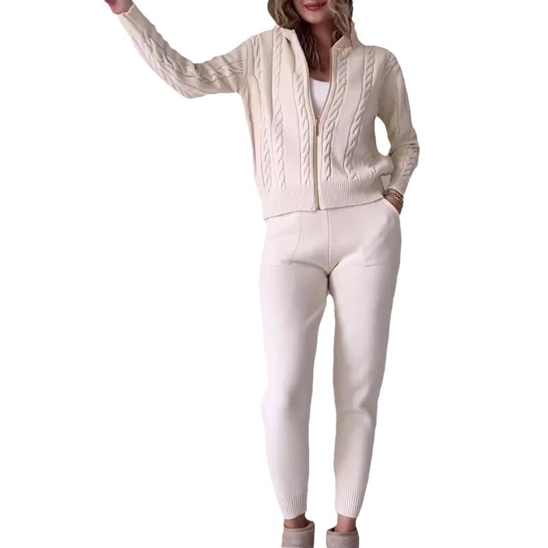 Fall 2023 new European and American Amazon cross-border solid color hemp pattern hooded zipper top casual home suit